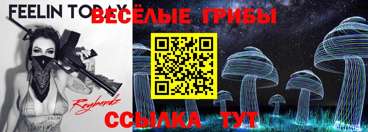 Галлюциногенные грибы Cubensis Малоярославец