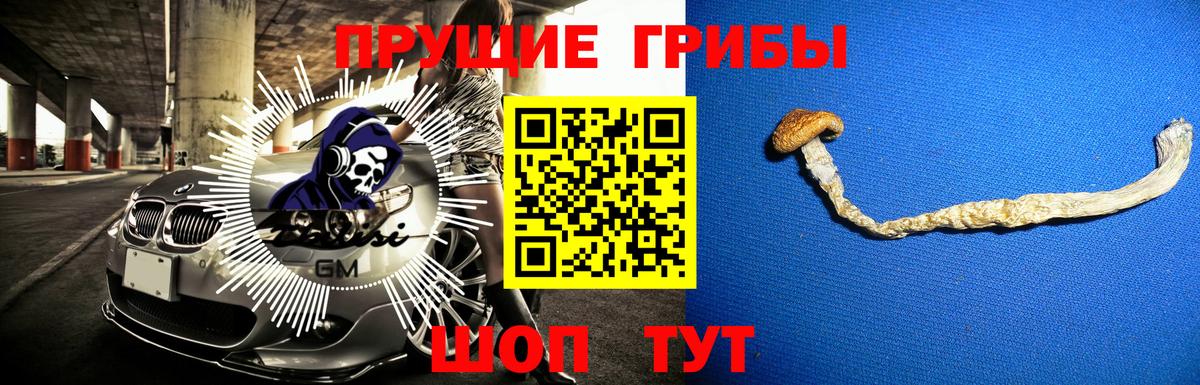 Галлюциногенные грибы мухоморы  Псилоцибиновые грибы MAGIC MUSHROOMS  Малоярославец  Вход с VPN 